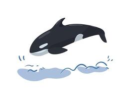 Killer whale jumping out of the water, illustration vector