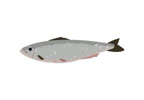 A fish on a white background vector