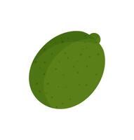 A green mango on a white background vector