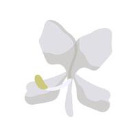 A white flower with a yellow center on a white background vector