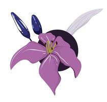 A purple flower with two leaves on it vector