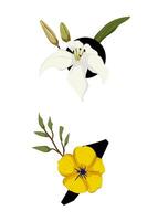 A flower and a leaf are shown in a black and white vector