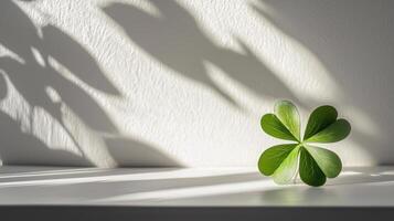 Shamrock Shaped Decor Casting Shadows on White Wall Concept of Minimalistic St. Patrick's Day Decor Natural Light and Serenity in Home Design Themes. Copy space photo
