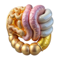 vibrant rustic Intestines Digestive System Transparent Background for Health Science professional png