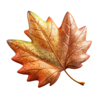 impressive abstract Leaf Autumn Colors Isolated for Fall Graphics detailed png