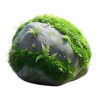 wonderful vintage A mossy rock covered in tiny ferns, soft diffused light, fantasy art style exclusive png