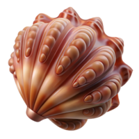 impressive creative A close-up of a seashell, intricate patterns, macro photography exclusive png