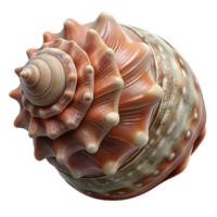 serene rustic A close-up of a seashell with intricate patterns and textures, macro photography, beach theme exclusive png