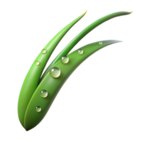 serene rustic A single blade of grass with dew drops, macro photography, morning light genuine png
