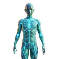 dramatic rustic A transparent human figure with glowing lines representing neural pathways, illuminated by a soft, bioluminescent light, in a medical visualization style professional png