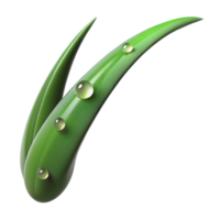 vibrant creative A single blade of grass with dew drops, macro photography, morning light, realistic style high resolution png