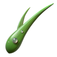 dramatic rustic A single blade of grass with dew drops, macro photography, morning light, realistic style detailed png