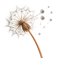 beautiful modern A single dandelion seed head with seeds blowing in the wind, delicate details, soft lighting, nature photography style exclusive png