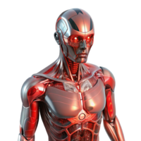 elegant rustic A humanoid robot with translucent skin revealing complex internal circuitry, illuminated by a pulsing, red light. Biopunk style professional png