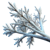 serene vintage A branch covered in frost, intricate ice crystals, winter morning light, nature photography style original png