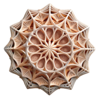 magnificent contemporary A web of intricate lace-like patterns, illuminated by a soft, diffused light, resembling delicate embroidery, art nouveau style professional png