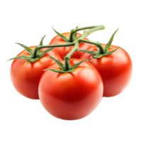 Ripe Vibrant Tomatoes Clustered on the Vine Against a White Background png