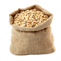 Heap of Unprocessed Oats Grains in Burlap Sack on White Background png