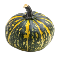 Ripe Autumn Pumpkin with Distinctive Stem png