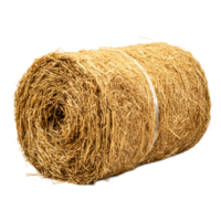 Large Golden Hay Bale Bundle Stacked in Agricultural Field png