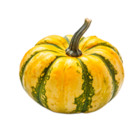 Ripe Pumpkin with Stem against White Background png