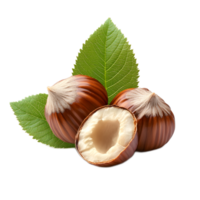 Freshly Harvested Hazelnuts with Attached Green Leaves on Wooden Surface png