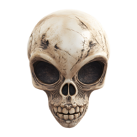 Alien Skull Fossil Unearthed Mysterious Extraterrestrial Archaeological Artifact Discovered png