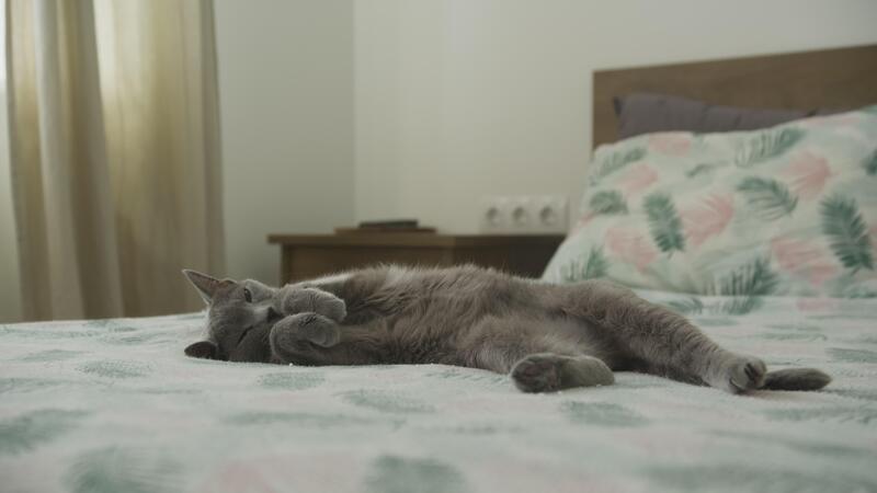 Page 2 | Sleeping Naked Stock Video Footage for Free Download