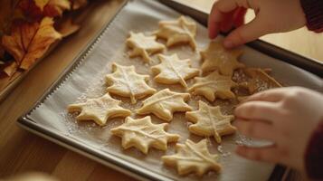A person is placing cookies on a baking sheet photo