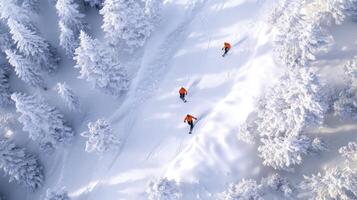 Three people are skiing down a snowy slope photo