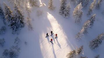 Three people are walking on snow in the forest photo