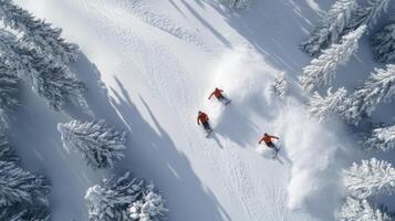 Two people skiing down a snowy slope photo