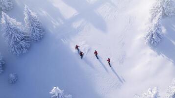 Three people are skiing down a snowy slope photo