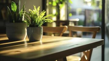 Two potted plants sit on a wooden table photo