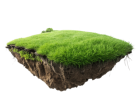 floating patch of grass with soil, showcasing unique landscape element png
