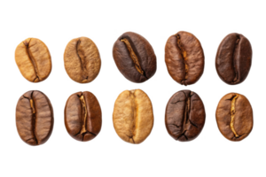 Coffee beans in various shades and roasts arranged in row png