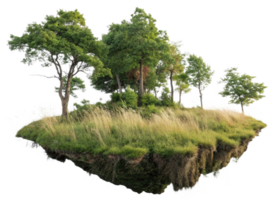 Lush green trees on floating island with tall grass and reflection png