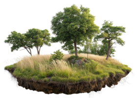 lush green island with trees and tall grass, creating serene natural scene png