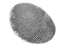 Fingerprint pattern with intricate lines and curves, symbolizing identity and security png