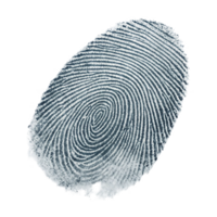 detailed fingerprint with distinct ridges and patterns, showcasing unique identity features png