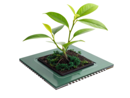 small green plant with vibrant leaves grows in black pot on square green base, symbolizing nature and growth png