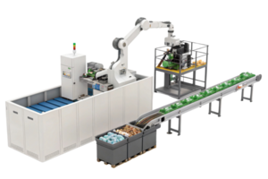 Automated production line with robotic arm, conveyor, and sorting system for efficient packaging and processing png