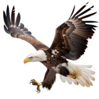Majestic Bald Eagle Soaring Elegantly with Outstretched Wings Against a Clear Blue Sky png