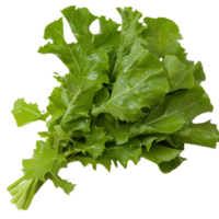 Fresh and Crisp Green Leafy Vegetable Bunch with Dew Drops on a White Background for Healthy Cooking and Recipes png