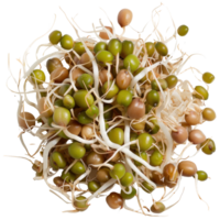 Fresh Green Sprouts, Healthy Microgreens on a White Background for Nutrition and Culinary Use png