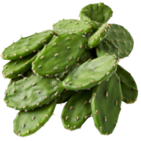 Freshly harvested green cactus pads stacked together in an isolated arrangement on a clear background for culinary use png