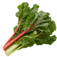 Fresh Swiss Chard Leaves with Vibrant Stems on a White Background for Healthy Cooking and Nutrition Concepts png