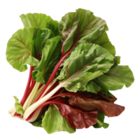Fresh Swiss Chard Bunch with Vibrant Green and Red Leaves Isolated on a White Background for Healthy Cooking png