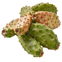 Colorful cactus fruits with spines on white background, showcasing vibrant colors and unique textures for culinary use png