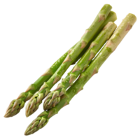 Fresh Green Asparagus Stalks with Water Drops on White Background for Culinary and Healthy Eating Concepts png